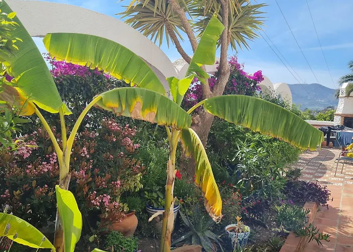 Casa Jazmin * Nerja